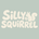 Silly Squirrel - Home